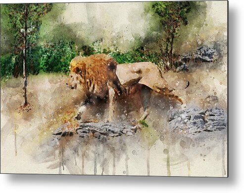 Lion Metal Print featuring the digital art Male lion by Geir Rosset