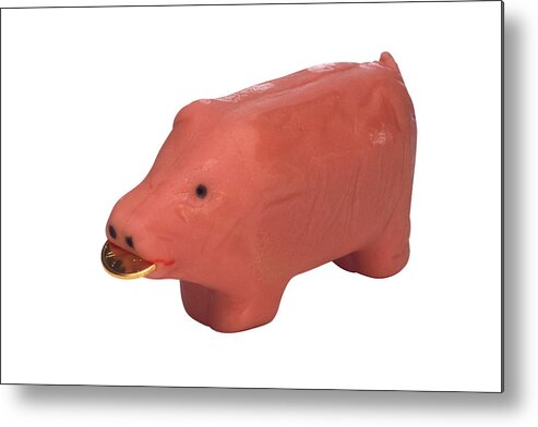 Coin Metal Print featuring the photograph Marzipan pig with gold coin by Comstock