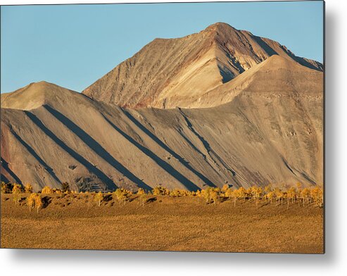 Fall Metal Print featuring the photograph Massive Mountain and Aspen Row by Denise Bush