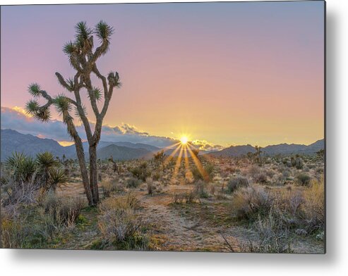 Joshua Tree Metal Print featuring the photograph May 2021 Joshua Tree Sunset by Alain Zarinelli