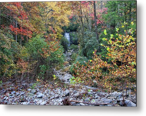 Smoky Mountains Metal Print featuring the photograph Meigs Falls 13 by Phil Perkins
