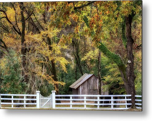 Natchez Mississippi Metal Print featuring the photograph Melrose Barn by Susan Rissi Tregoning