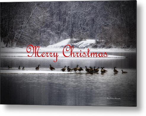 Christmas Metal Print featuring the photograph Merry Christmas Canadian Geese by Mary Walchuck