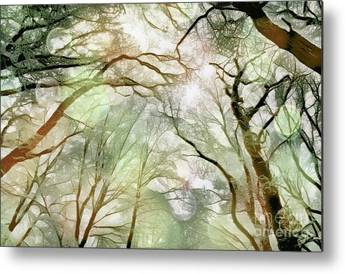 Forest Metal Print featuring the digital art Mesmerizing Forest by Chris Bee