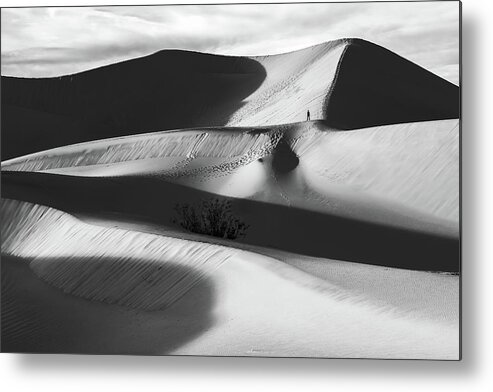American Landscape Metal Print featuring the photograph Lone Hiker on Dunes bw by Jonathan Nguyen