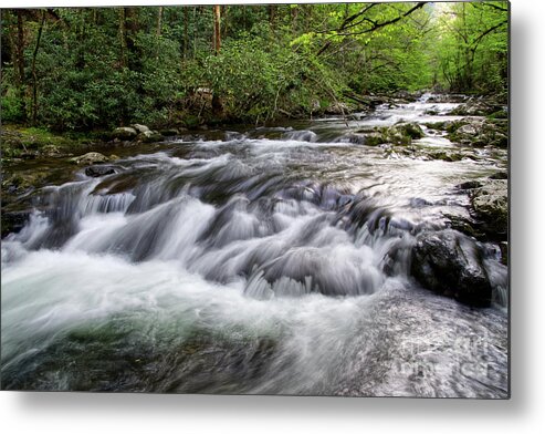 Middle Prong Trail Metal Print featuring the photograph Middle Prong Little River 9 by Phil Perkins