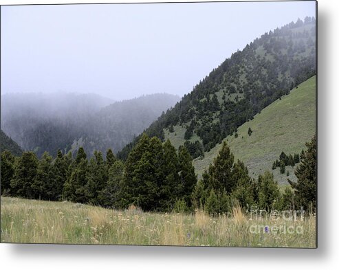 Scenic Metal Print featuring the photograph Mist in the Mountains by Kae Cheatham