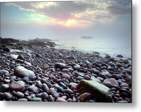 Acadia Metal Print featuring the photograph Misty Morning 1753 by Greg Hartford