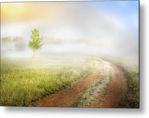 Tree Metal Print featuring the photograph Misty Sunrise On Country Roads by Jordan Hill
