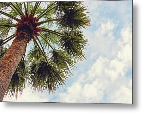 Monaco Metal Print featuring the photograph Monaco Palm by Melanie Alexandra Price