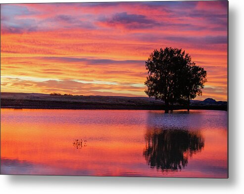 Colorful Metal Print featuring the photograph Montana Sunset by Todd Klassy