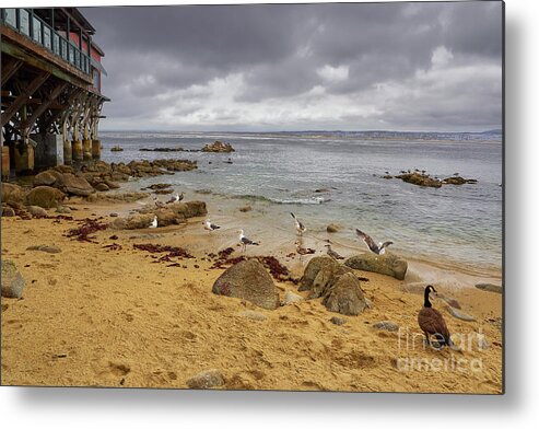 Monterey Metal Print featuring the photograph Monterey Bay by Steve Ondrus
