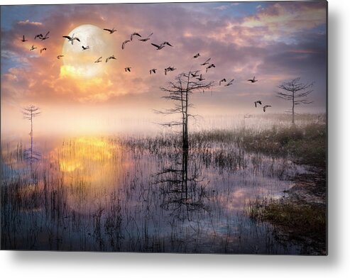 Birds Metal Print featuring the photograph Moon Rise Flight by Debra and Dave Vanderlaan