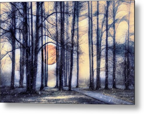 Carolina Metal Print featuring the photograph Moonglow in the Winter by Debra and Dave Vanderlaan