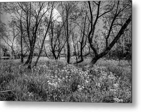 Carolina Metal Print featuring the photograph Moonlit Meadow Black and White by Debra and Dave Vanderlaan