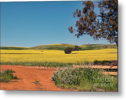 Taken On The Geraldton To Mount Magnet Road. Moonyoonooka Is A Very Small Town In The Mid-west Of Wester Australia With A Population Of Just 245 People. Metal Print featuring the photograph Moonyoonooka, Western Australia by Elaine Teague