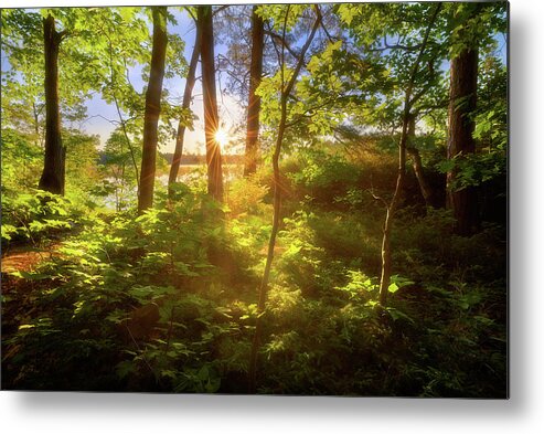 Woods Metal Print featuring the photograph Morning at French River by Henry w Liu