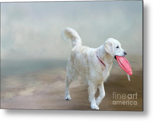 Labrador Retriever Metal Print featuring the photograph Morning on the Shore by Eva Lechner