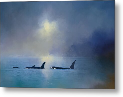 Orca Metal Print featuring the digital art Morning Orca Swim by Jeanette Mahoney