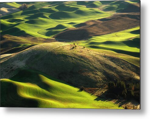 Palouse Metal Print featuring the photograph Mounds of Joy by Ryan Manuel