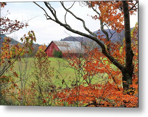 Barn; Arkansas; Red; Leaves; Country; Mountain; Autumn Metal Print featuring the photograph Mountain Barn in Autumn - Ouachitas of Arkansas - Fall 2020 by William Rainey
