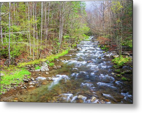 Great Smoky Mountains National Park Metal Print featuring the photograph Mountain Creek by Stefan Mazzola