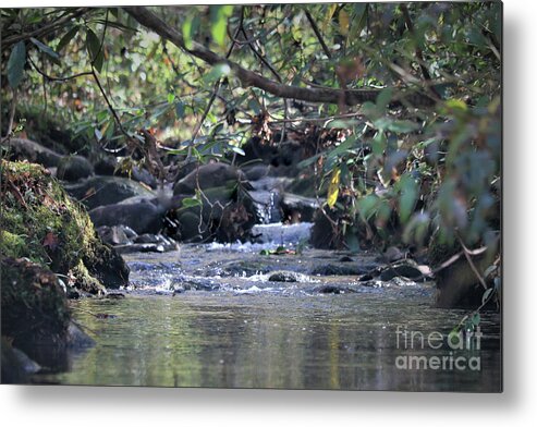 Landscape Metal Print featuring the photograph Mountain Water , Smoky Mountains by Theresa D Williams