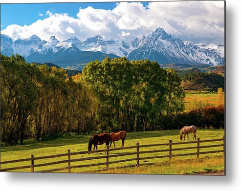 Mount Sneffels Colorado Metal Print featuring the photograph Mt. Sneffels Colorado with Horses by John Hoffman