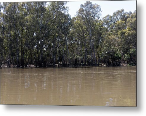  Metal Print featuring the photograph Muddy Water by Masami IIDA