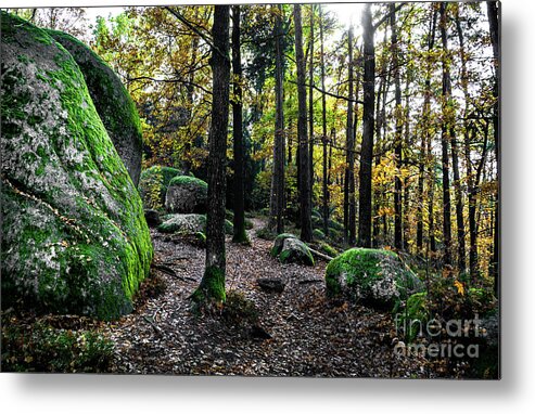 Abandoned Metal Print featuring the photograph Mystic Landscape Of Nature Park Blockheide With Granite Rock Formations In Waldviertel In Austria by Andreas Berthold