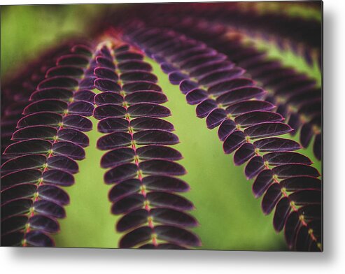 Mountain Metal Print featuring the photograph Natural Patterns by Go and Flow Photos