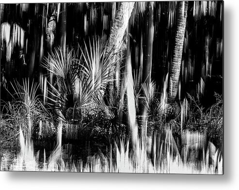 Nature Metal Print featuring the photograph Nature Abstracted 7B by Sally Fuller