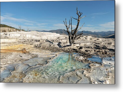 Landscape Metal Print featuring the photograph Nature's Palette by Sandra Bronstein