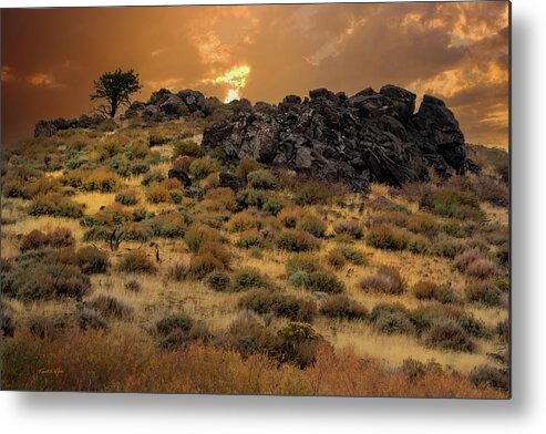 Landscape Metal Print featuring the photograph Nevada Sunrise by Frank Wilson