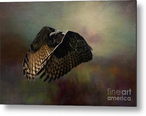 Eurasian Eagle-owl Metal Print featuring the photograph Night Flight by Eva Lechner