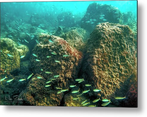 Underwater Metal Print featuring the photograph Nowhere by Meir Ezrachi