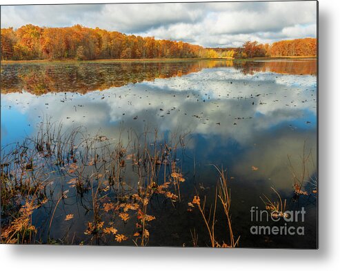 Autumn Metal Print featuring the photograph Oak Leaves in Haven Hill Lake Late Autumn FC10508 by Mark Graf