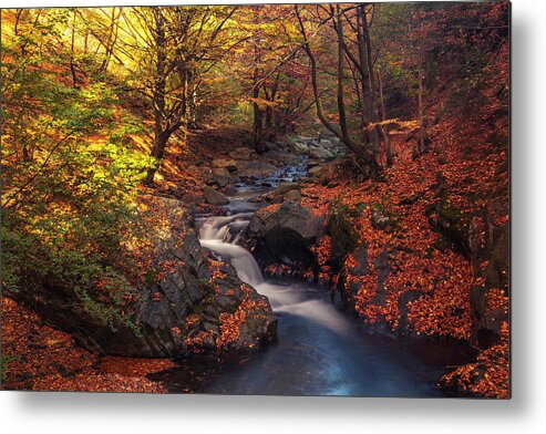 Mountain Metal Print featuring the photograph Old River by Evgeni Dinev
