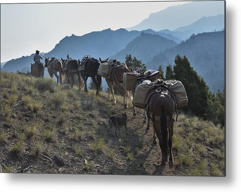 Western Art Metal Print featuring the photograph On the Trail by Alden White Ballard