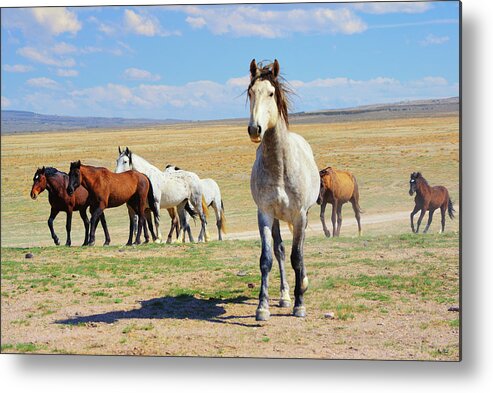 Onaqui Metal Print featuring the photograph Onaqui Lookout by Greg Norrell