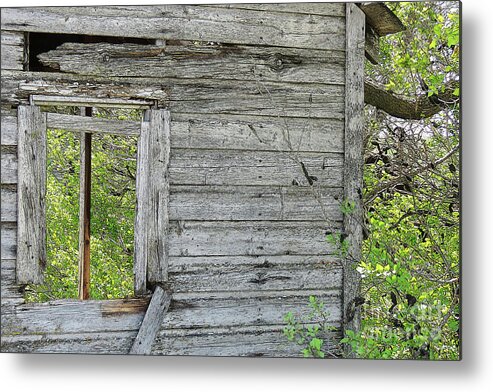 Farm Metal Print featuring the photograph Open Nature Concept by Mary Mikawoz
