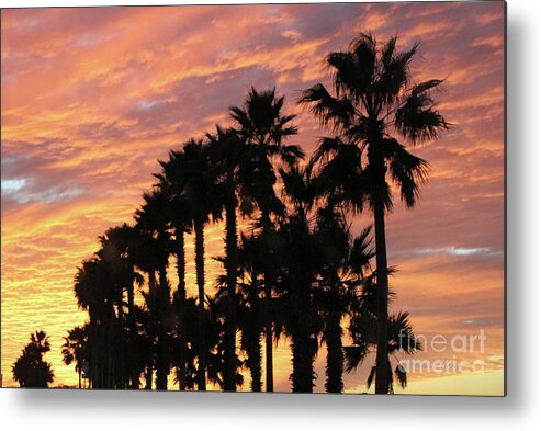 Sunset In Daytona Beach. Palm Trees Silhouetted Against A Red-orange Sky. Metal Print featuring the photograph Orange Sunset in Daytona Beach by Dodie Ulery