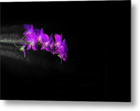 Orchid Metal Print featuring the photograph Orchid Rush by Jim Signorelli