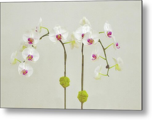 Orchid Metal Print featuring the digital art Orchids in Bloom by Gaby Ethington