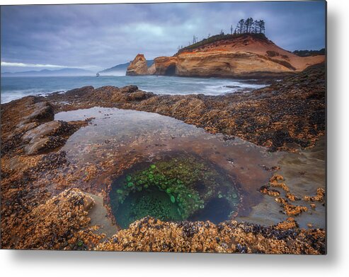 Oregon Metal Print featuring the photograph Oregon Tide Pool by Darren White