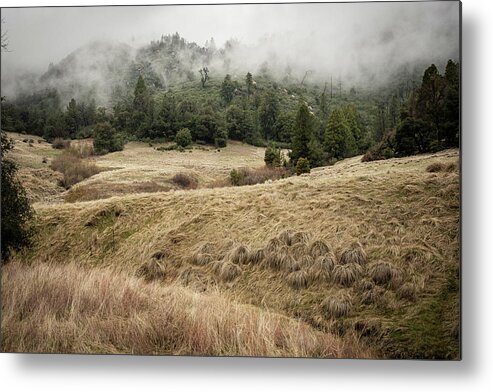 Trees Metal Print featuring the photograph Over the Hills Far Away by Ryan Weddle
