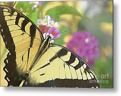 Butterfly Metal Print featuring the digital art Painted Swallowtail by Amy Dundon