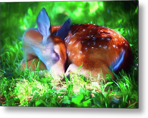 Digital Art Metal Print featuring the photograph Painterly Sleeping Fawn by Laura Vilandre
