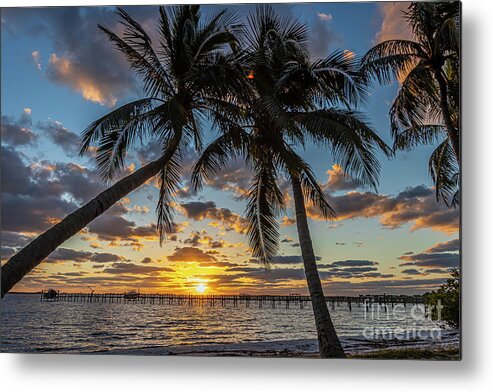 Sun Metal Print featuring the photograph Palm and Pier Sunrise by Tom Claud