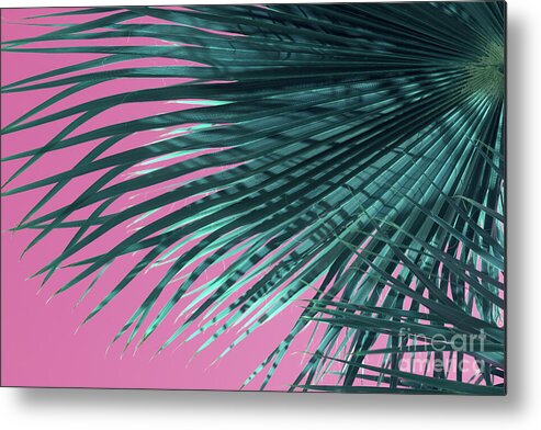 Palm Leaf Metal Print featuring the photograph Palm frond and pink sky, summer on the beach by Adriana Mueller